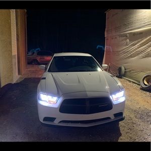 Meet your Posher, Bradley